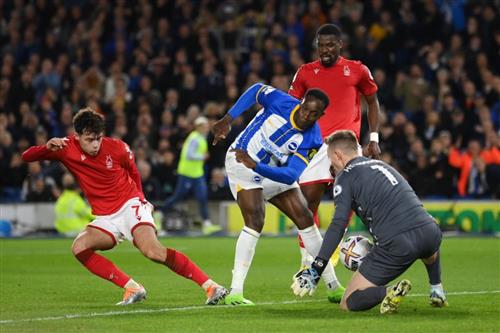 Nottingham đấu với Brighton